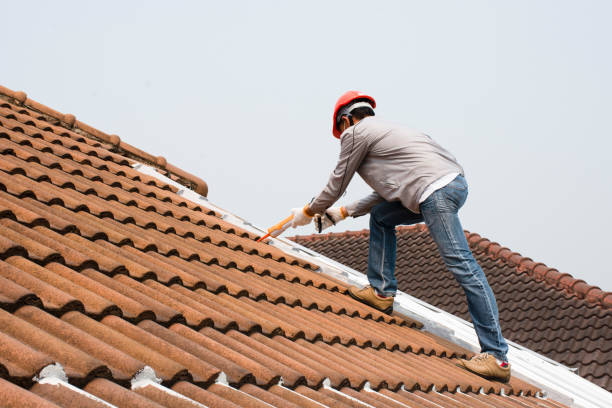 Best Roof Ventilation Installation  in Pinewood Estates, TX